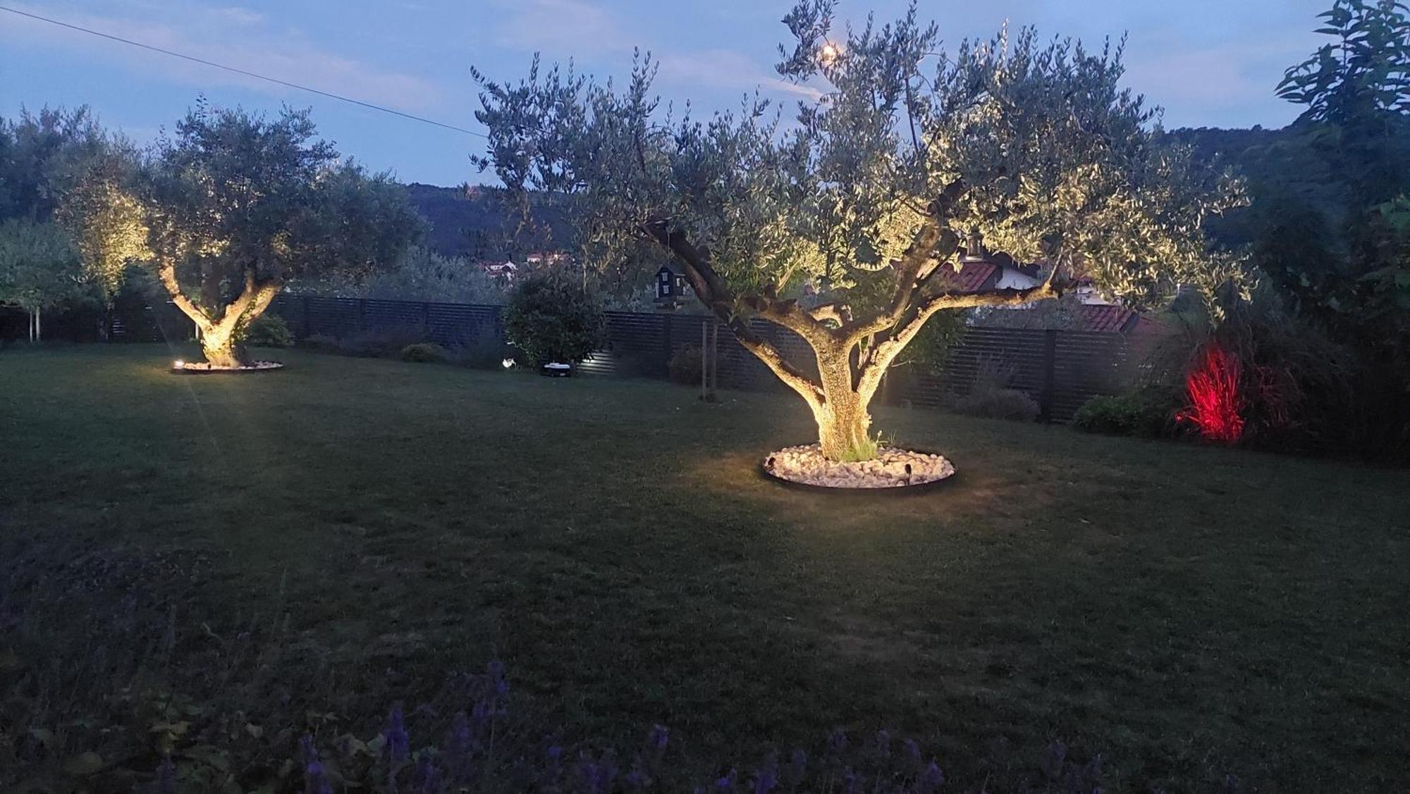 Istrian Lux Residence Копер Экстерьер фото