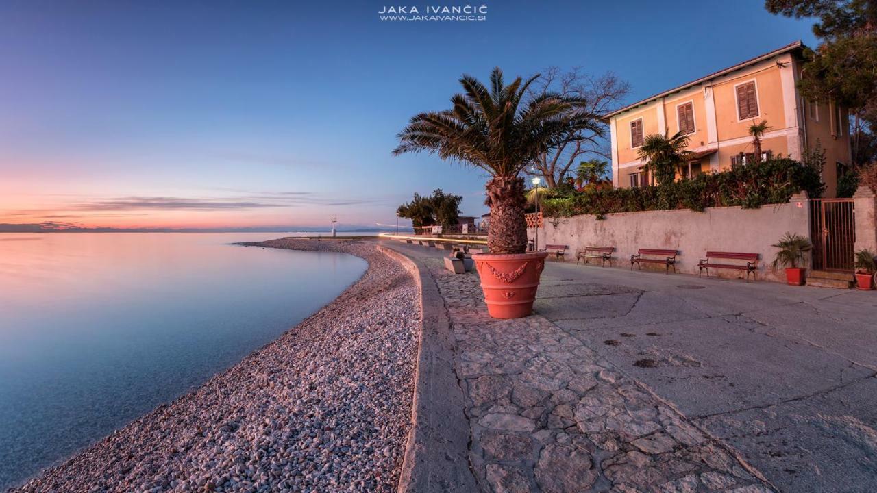 Istrian Lux Residence Копер Экстерьер фото
