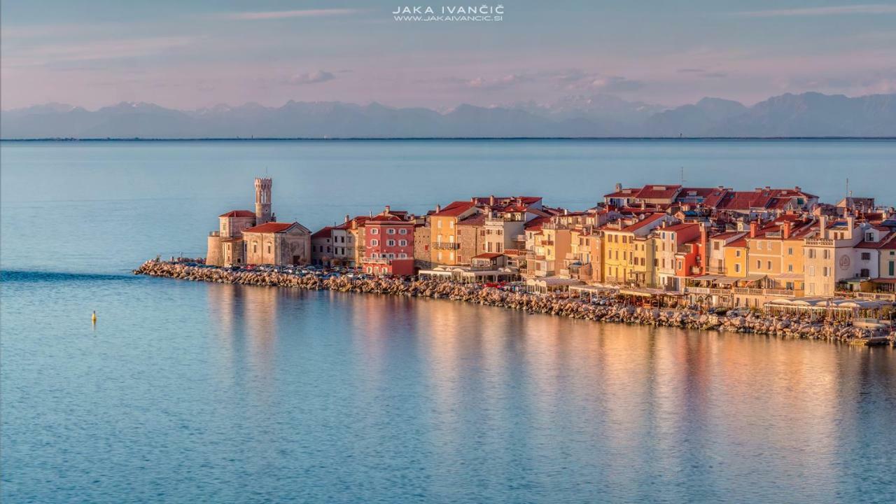 Istrian Lux Residence Копер Экстерьер фото